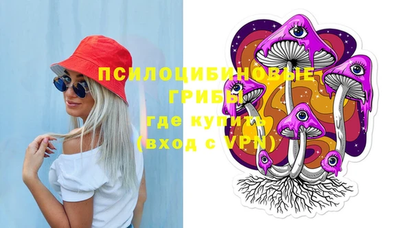 не бодяженный Алексин